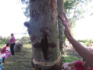 fête de l'arbre : décorer les arbres