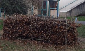 Utiliser ses déchets verts au jardin en visio conférence !