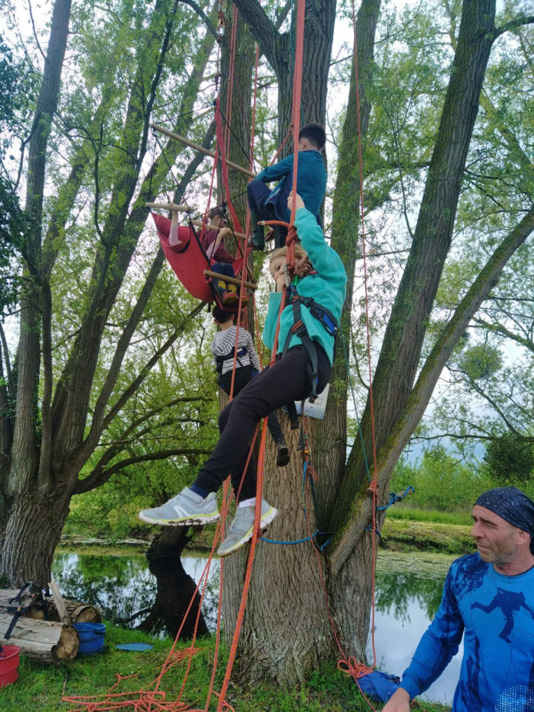 Grimpe à l'arbre  fete de l'artbre